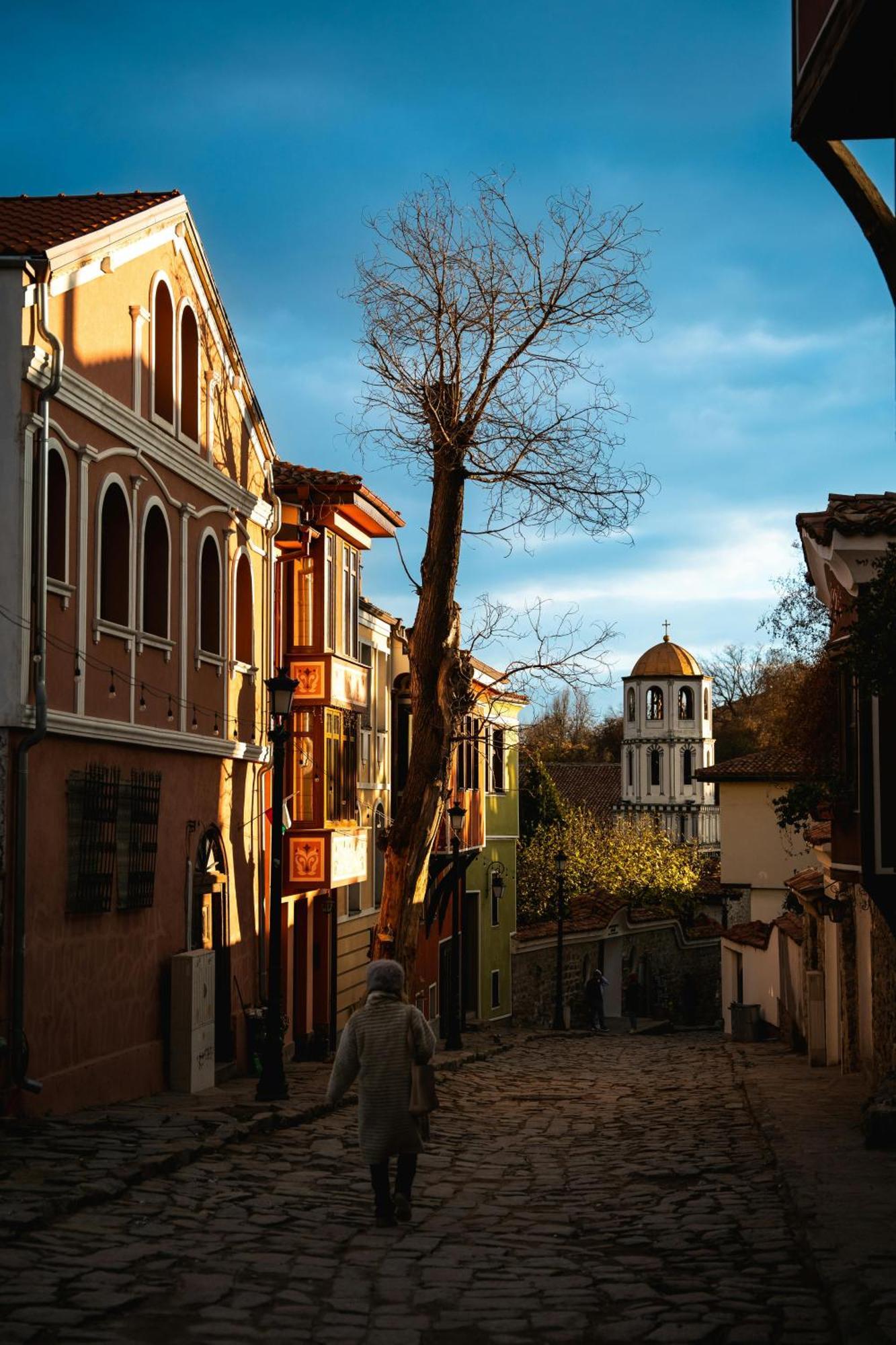Hotel Domenic Free Parking Plovdiv Exterior foto